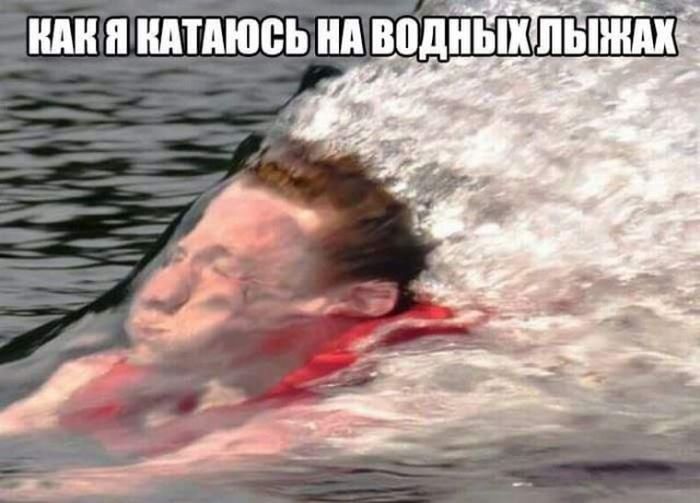 Прикольные картинки