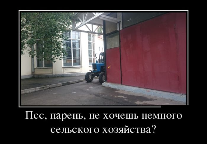 Демотиваторы