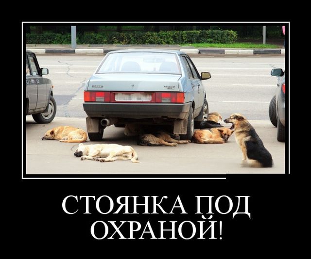 Демотиваторы