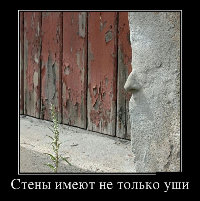 Демотиваторы