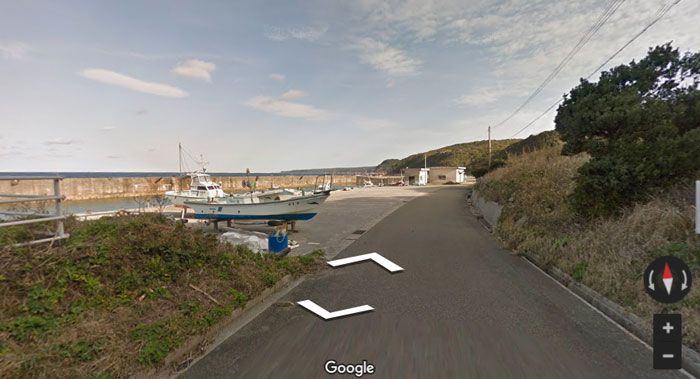 Пес погнался за машиной Google Street View и попал на все кадры