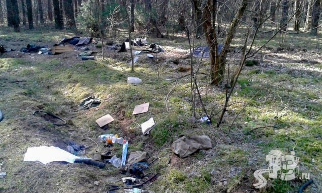 Под Гродно военные устроили свалку