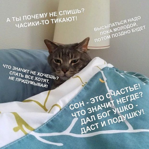 Прикольные картинки