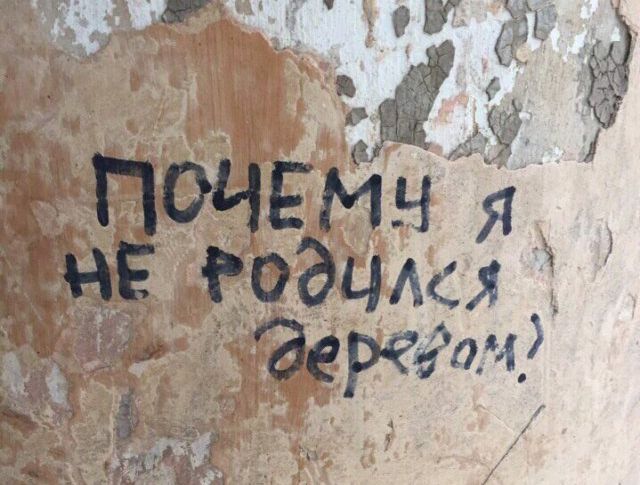 Приколы с наших просторов