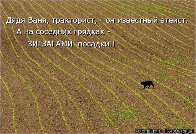Лучшие котоматрицы недели
