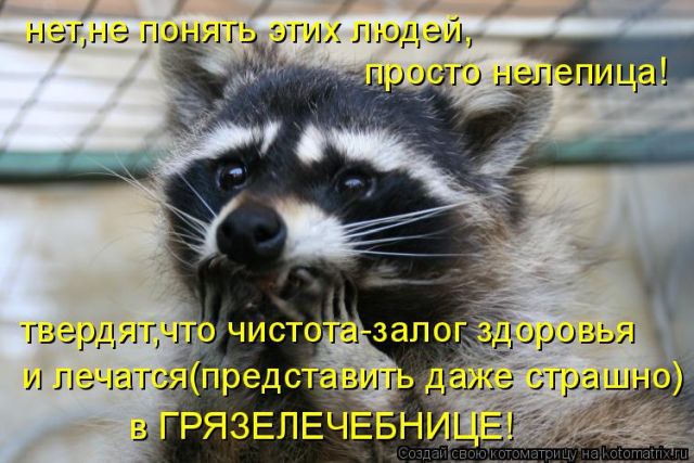 Лучшие котоматрицы недели