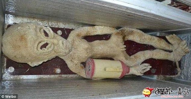 Китаец опубликовал фотографии мёртвого пришельца