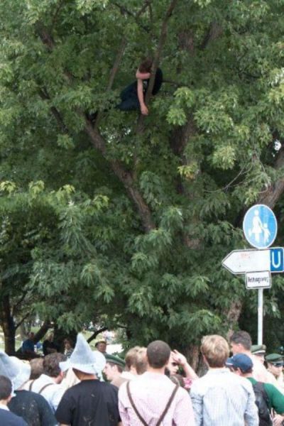 Подборка картинок