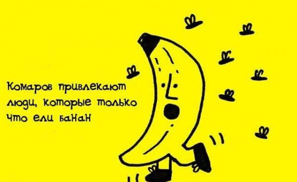 Интересные факты обо всем