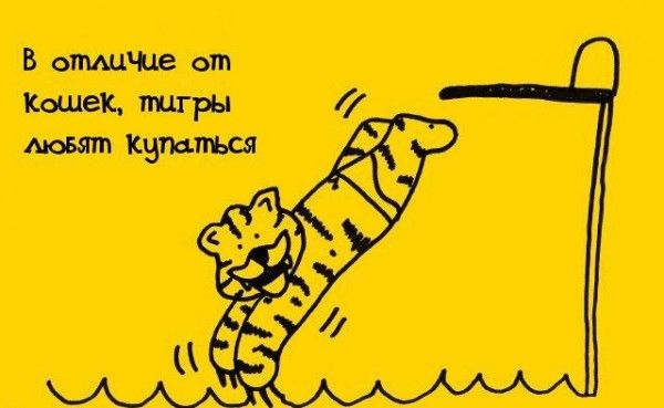 Интересные факты обо всем