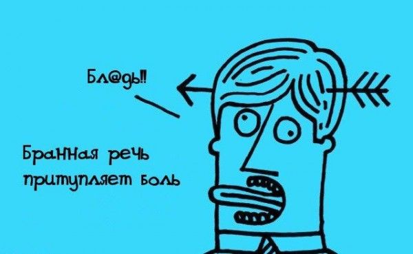 Интересные факты обо всем