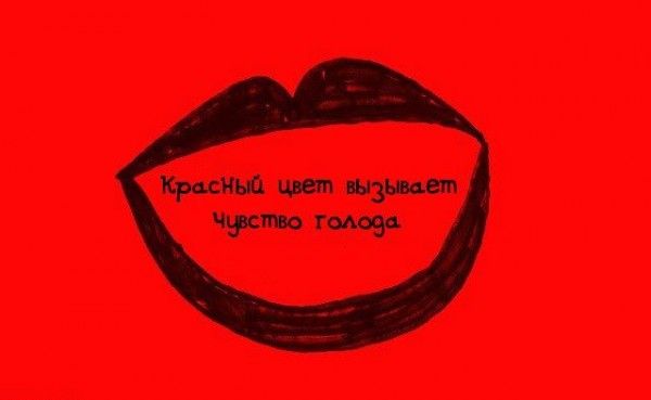 Интересные факты обо всем