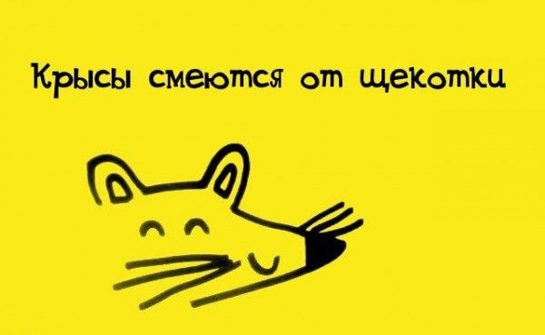 Интересные факты обо всем
