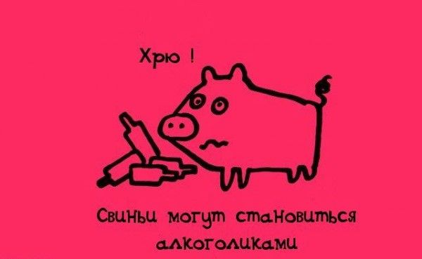 Интересные факты обо всем