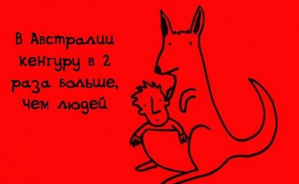 Интересные факты обо всем