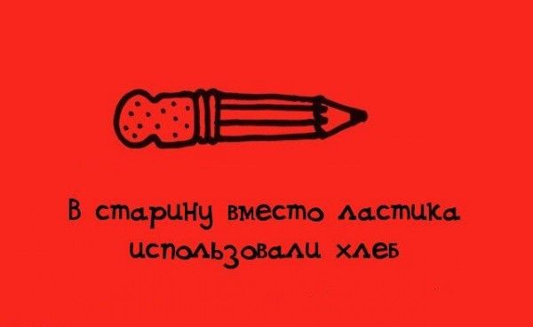 Интересные факты обо всем