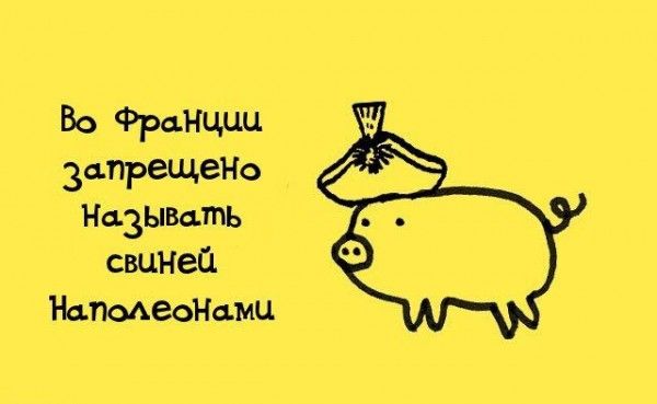 Интересные факты обо всем