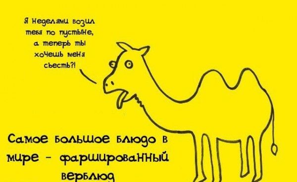 Интересные факты обо всем