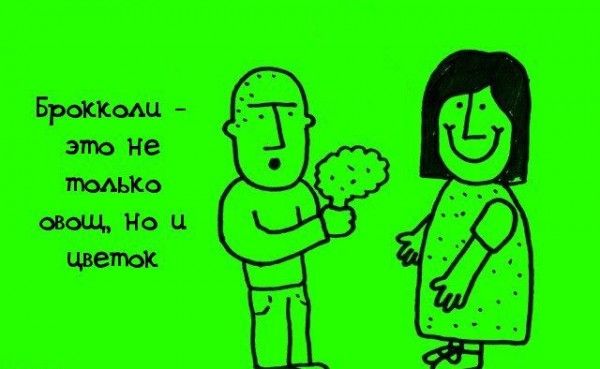 Интересные факты обо всем