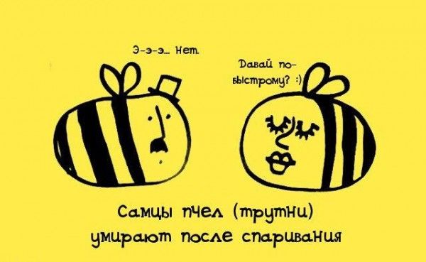 Интересные факты обо всем (20 фото)