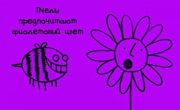 Интересные факты обо всем
