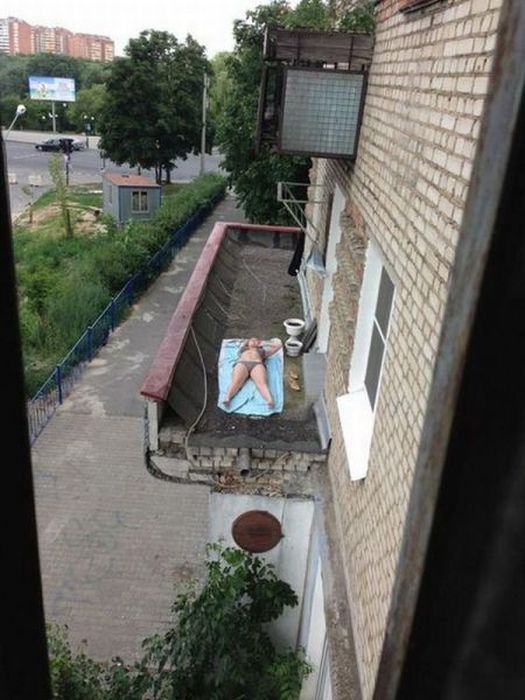 Прикольные картинки