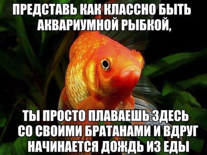 Подборка легкого юмора