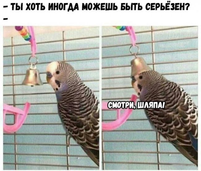 Подборка легкого юмора