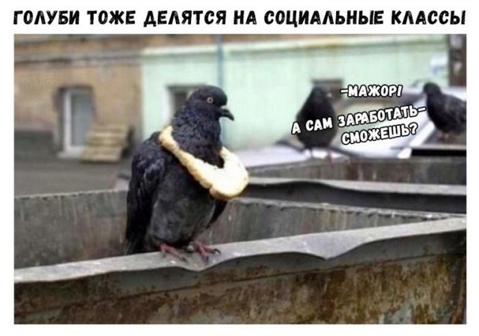 Подборка легкого юмора