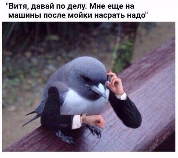 Подборка легкого юмора