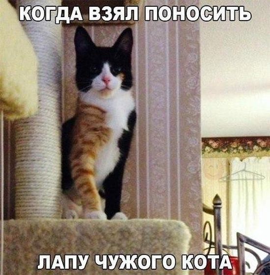 Подборка легкого юмора