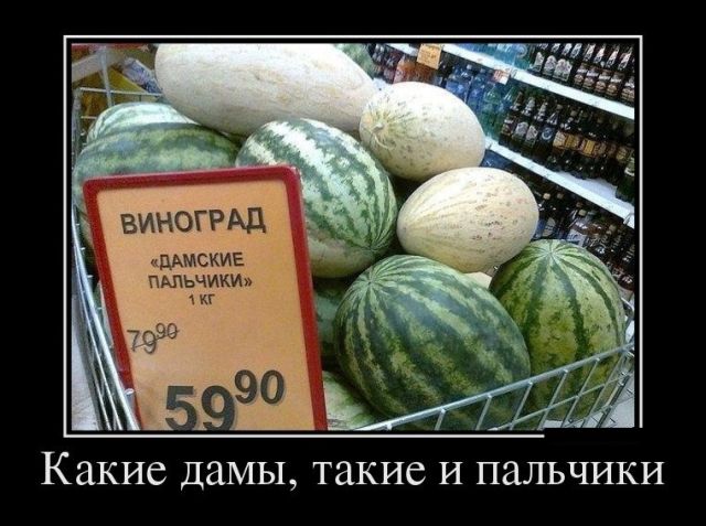 Демотиваторы