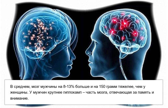 Познавательные факты о мужском теле