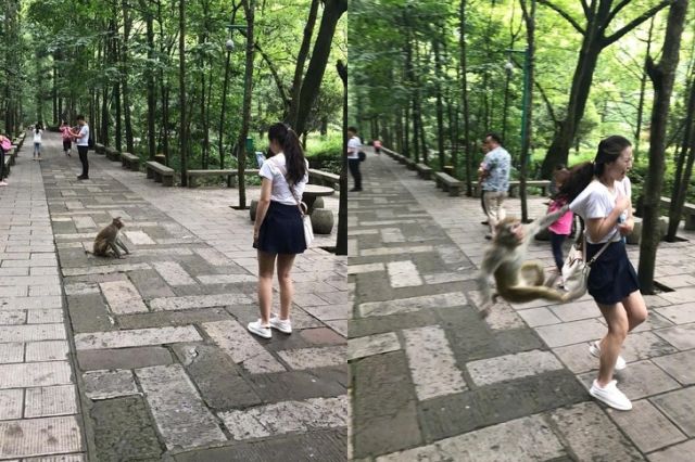 Прикольные картинки
