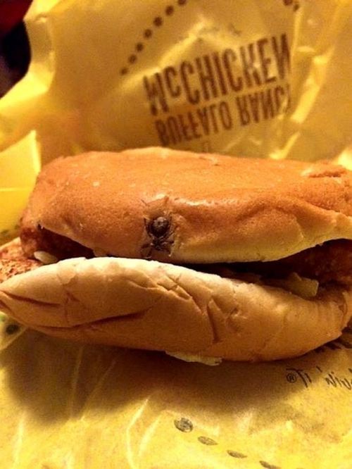 Порция картинок