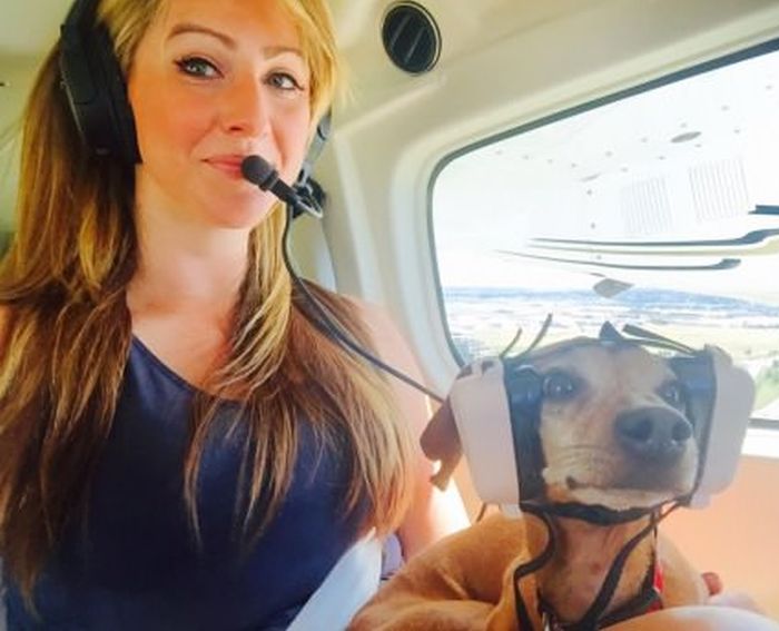 Порция картинок