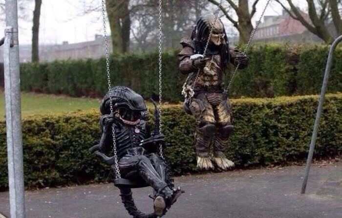 Порция картинок