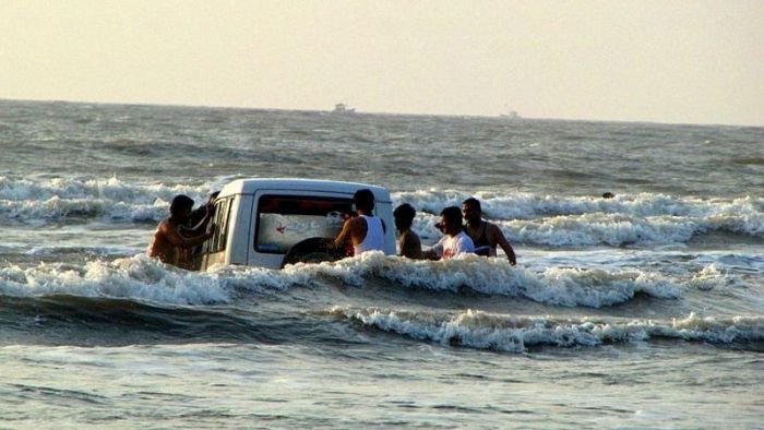 Порция картинок