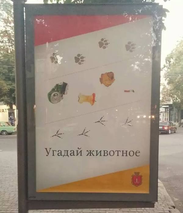 Порция картинок