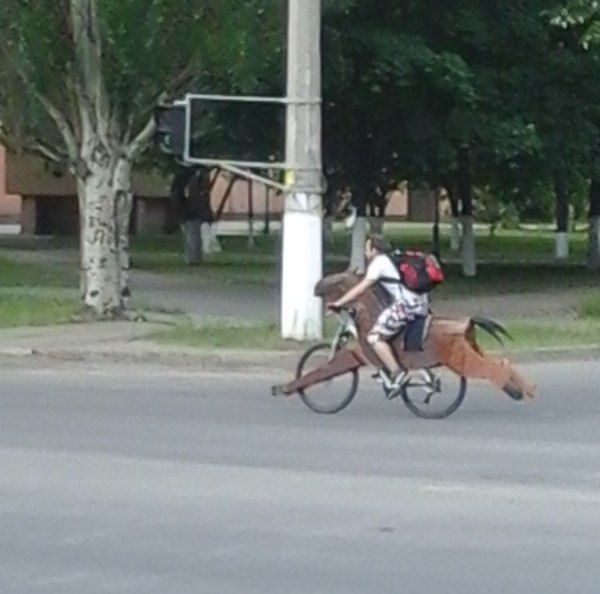 Порция картинок