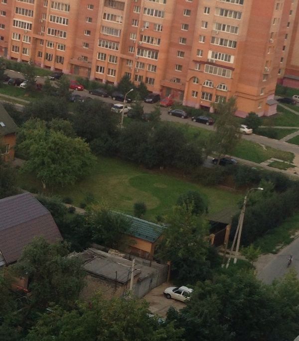 Порция картинок