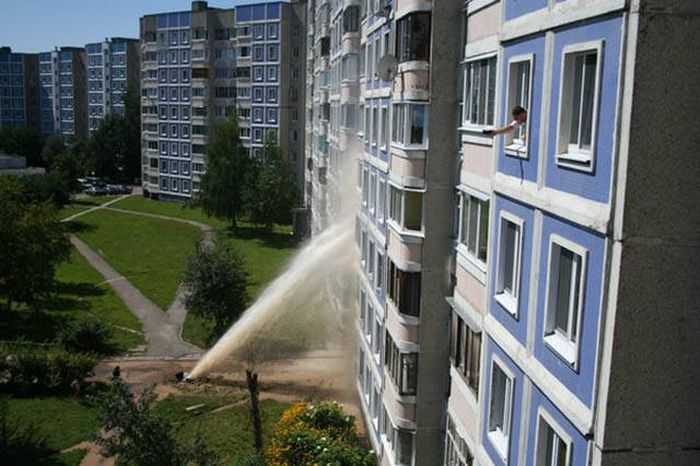 Прикольные картинки