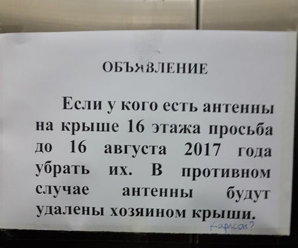 Прикольные картинки