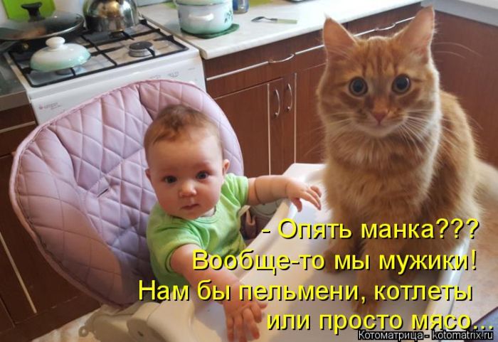 Лучшие котоматрицы недели