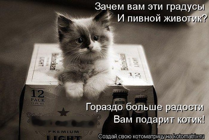 Лучшие котоматрицы недели
