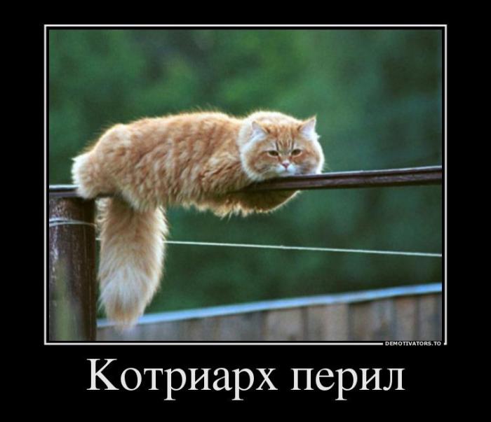 Демотиваторы (73 фото)