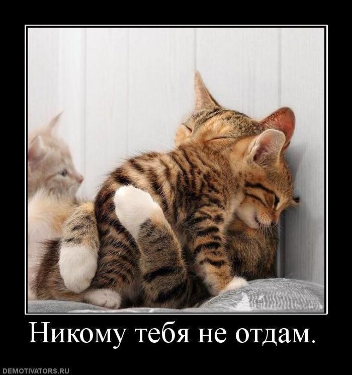 Демотиваторы (73 фото)