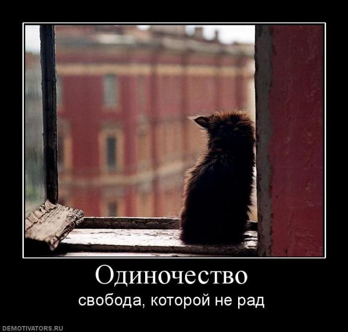 Демотиваторы (73 фото)