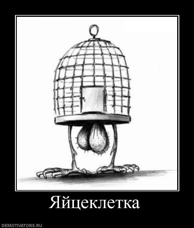 Демотиваторы (73 фото)