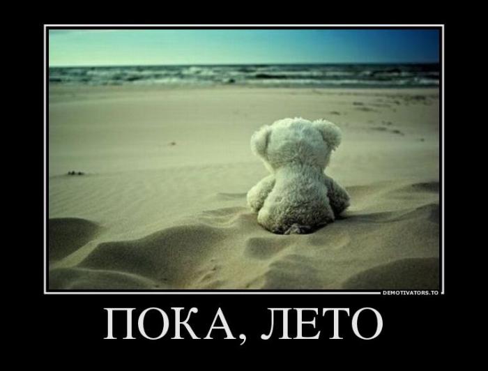 Демотиваторы (73 фото)